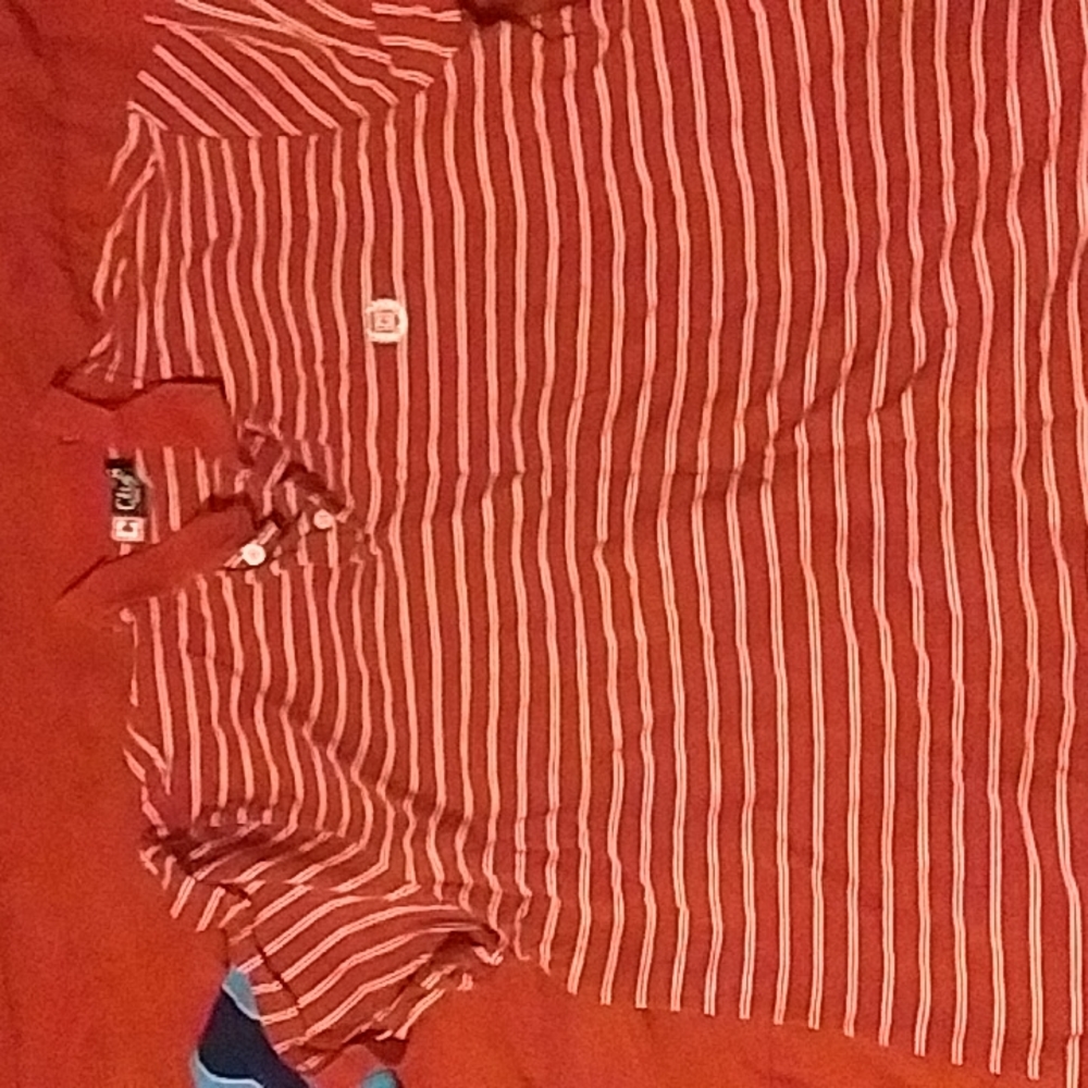 Chaps polo